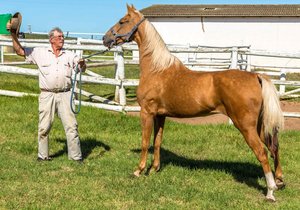 Fotografieklub geniet Mierkraal